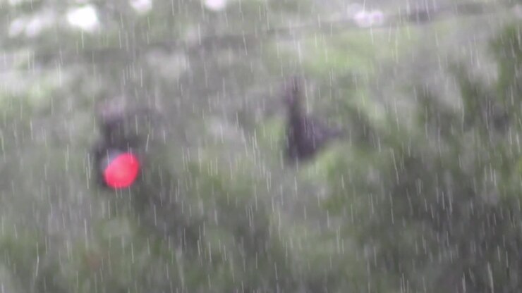 Rain Heavy with blurred trees and traffic lights