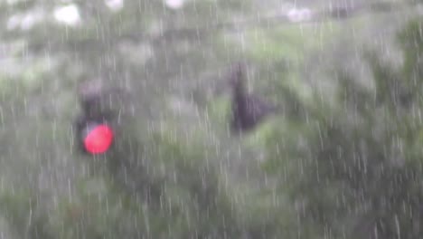 Rain-Heavy-with-blurred-trees-and-traffic-lights