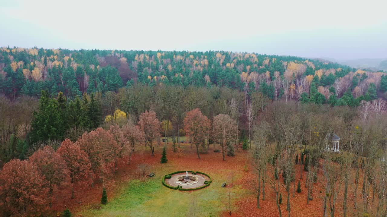 Aerial view of forest tree. Aerial shot of beauty forest nature landscape