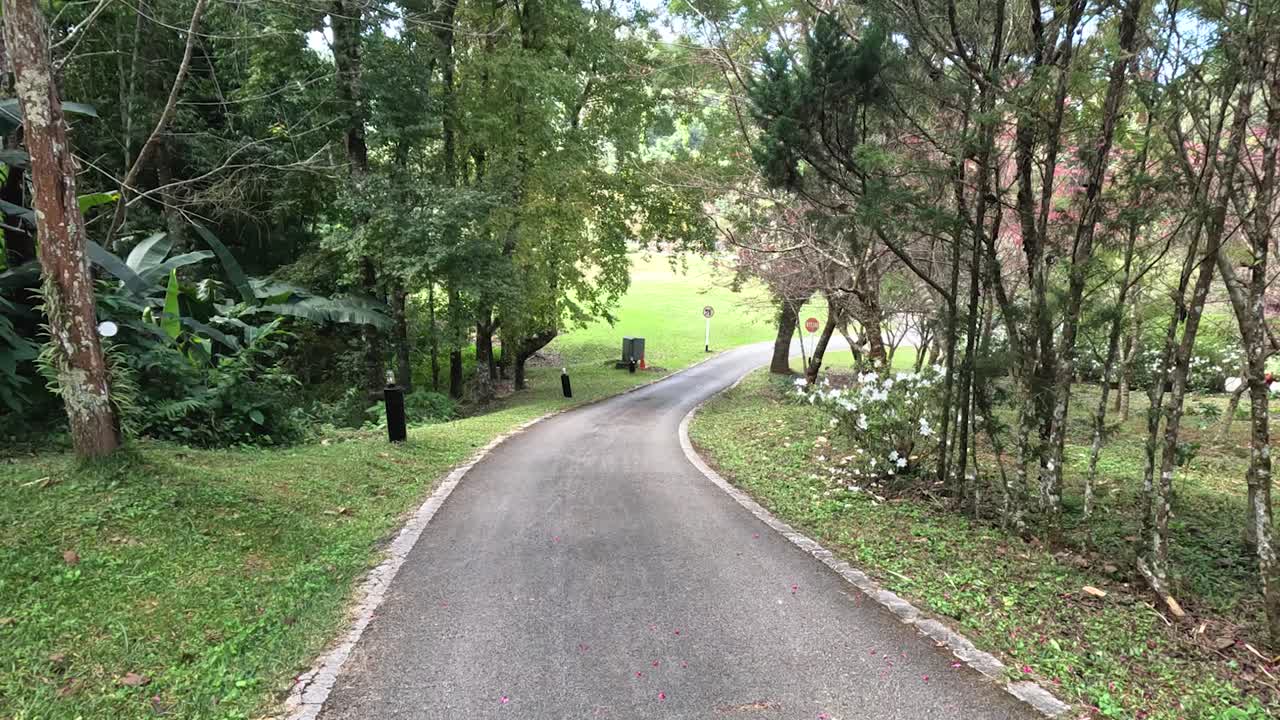 A peaceful walk down a winding park trail