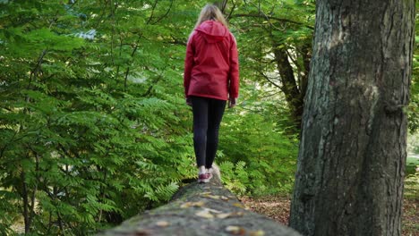 Frauen-Balancieren-Im-Herbst-Auf-Einem-Baum-Im-Wald