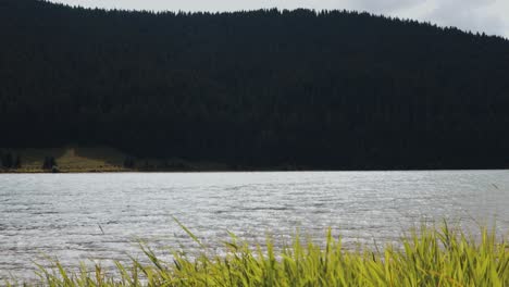 Frumoasa-See-Und-üppiger-Grüner-Wald-Bei-Windigem-Wetter-In-Rumänien