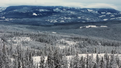 The-Serene-Realm-of-Kootenay's-Winter