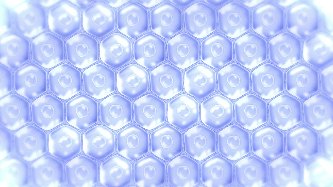 Human skin cells. Each cell with membrane. Cellular therapy. Disease treatment. Nucleus and vacuole. Regeneration. Loop animation.