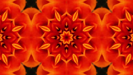 floral kaleidoscope seamless pattern background