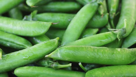 fresh green peas pods rotation close up. peas background. loop motion