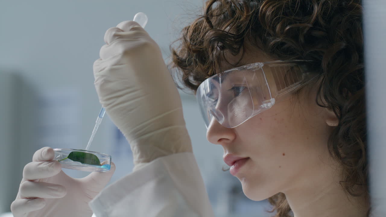 Biologist Adding Liquid to Leaf Sample in Petri Dish during Lab Research