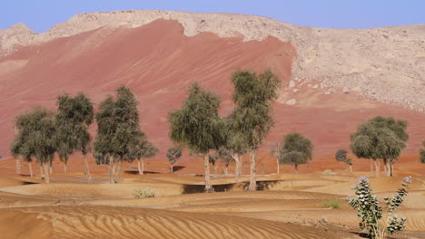 nature landscape in arabian barren desert at fossil rock in sharjah, unite arab emirates