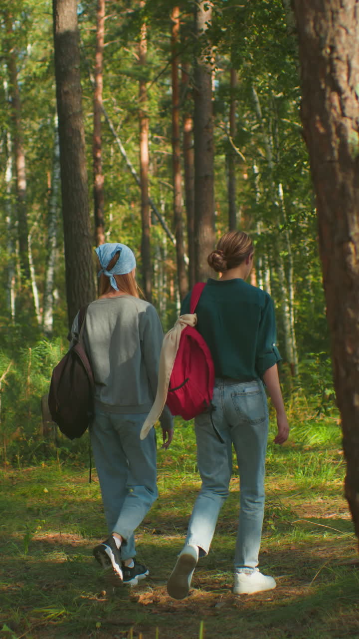 vista trasera de dos hermanas caminando a través de un bosque verde exuberante, una con corbata de cabello azul y llevando una mochila, la otra con un paño drapeado sobre la bolsa y el cabello atado hacia atrás
