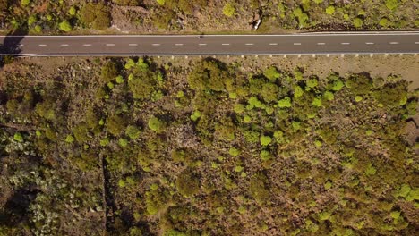Top-down-aerial-of-road-in-Tenerife-Canary-island-with-cyclist-passing-by