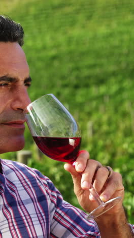 hombre oliendo vino rojo en el campo de uvas