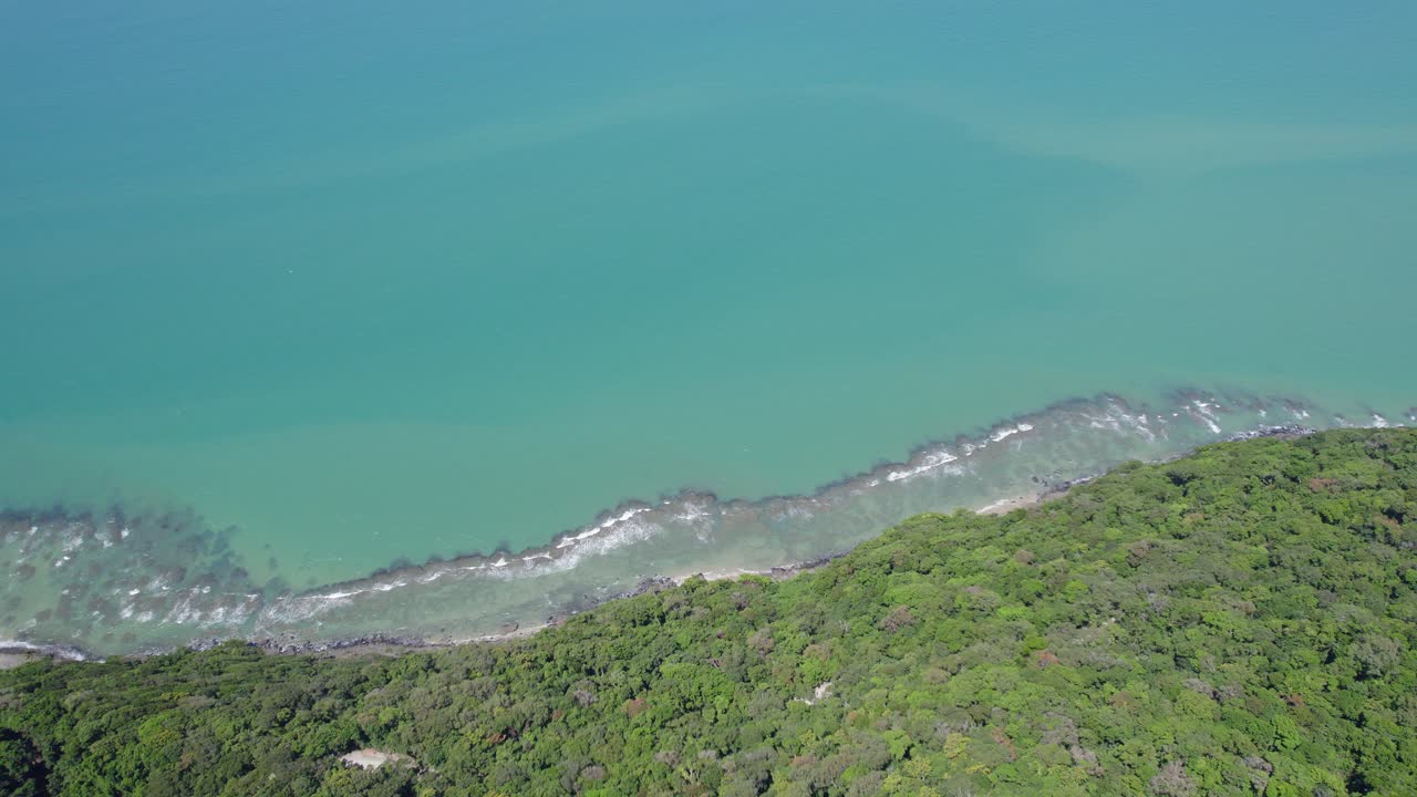 matorral denso sobre el parque nacional daintree en el norte tropical de queensland, australia