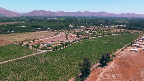 Campos-De-Viñedos-De-La-Región-Vitivinícola-De-Pirque-Chile,-Drones-Aéreos-Sobre-El-Suelo-De-La-Industria-Del-Vino-Tinto,-Debajo-De-La-Cordillera-De-La-Cordillera-Andina