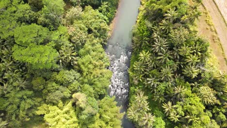 drone shot over river bank curve with turquoise flowing water with dense of trees on the side - 4k aerial view