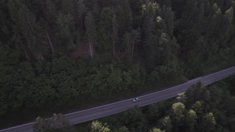 Drone-shot-of-a-lonely-grey-car-driving-in-between-the-trees-and-woods-on-a-sunny-day-in-the-Alps-with-a-panoramic-view-near-Bolzano-Italy-LOG