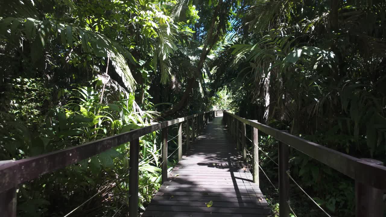 POV walking along elevated pathway surrounded by dense jungle greenery in Cahuita National Park, offering a peaceful and immersive nature experience