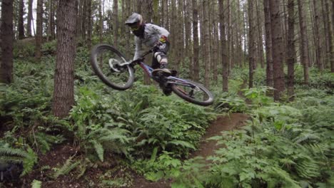 extreme mountainbiker doing tail whip in air on single downhill track between tall trees, slow motion