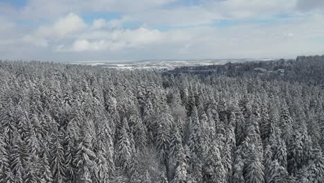 drone flight snowy landscape in black forest germany