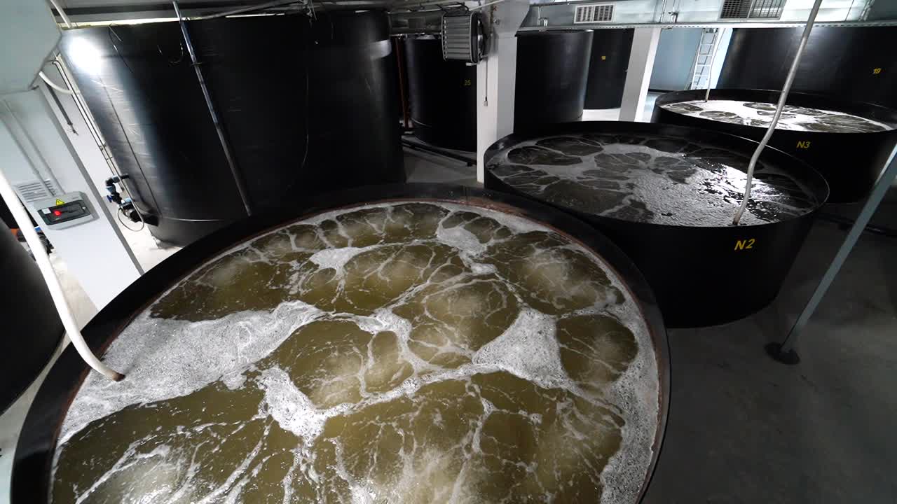 Shrimp farm. Containers with water on a shrimp farm inside.