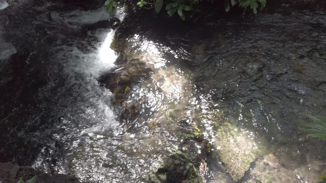 Fixed shot capturing water flowing and sunlight reflections, with textured rocks and aquatic plants beneath.