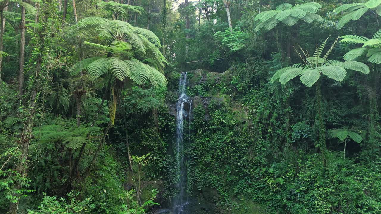 Drone view of waterfalls hidden deep in the rainforest, surrounded by vibrant jungle plants and rocky cliffs