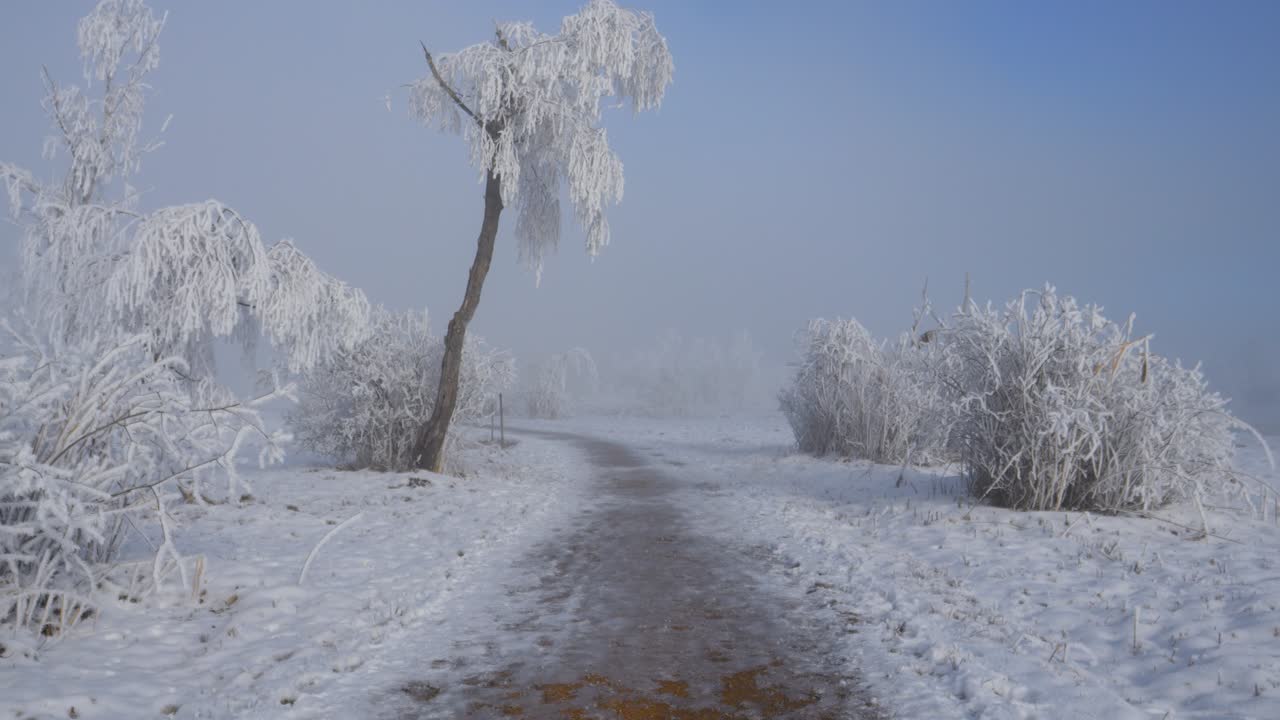 Deep winter landscape with lots of snow. It is foggy and the sun is trying to shine through. The trees are also white and part of the sky is blue. Winter wonderland