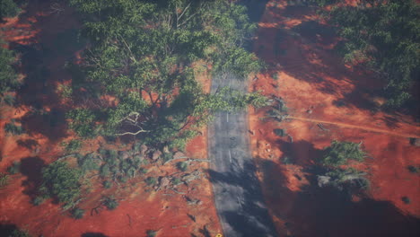 aerial-shot-of-road-snaking-through-green-trees