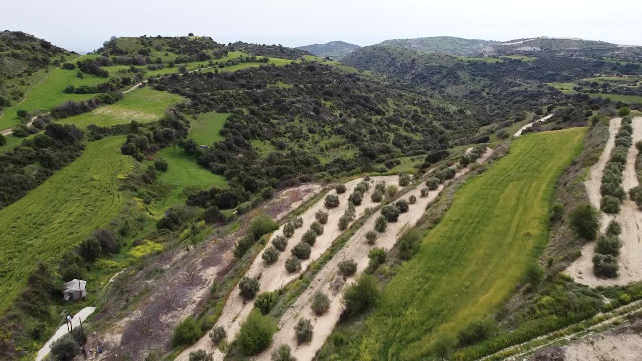 Lush green hillsides showcase terraced agricultural fields under a clear blue sky. This serene landscape highlights farming practices in a picturesque setting