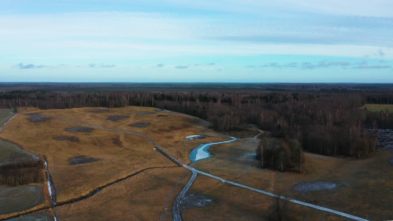 vista aérea de la zona rural amarilla de tierras de cultivo y bosques