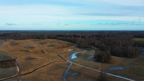 Moody-evening-aerial-view-of-yellow-countryside-farmland-and-forest