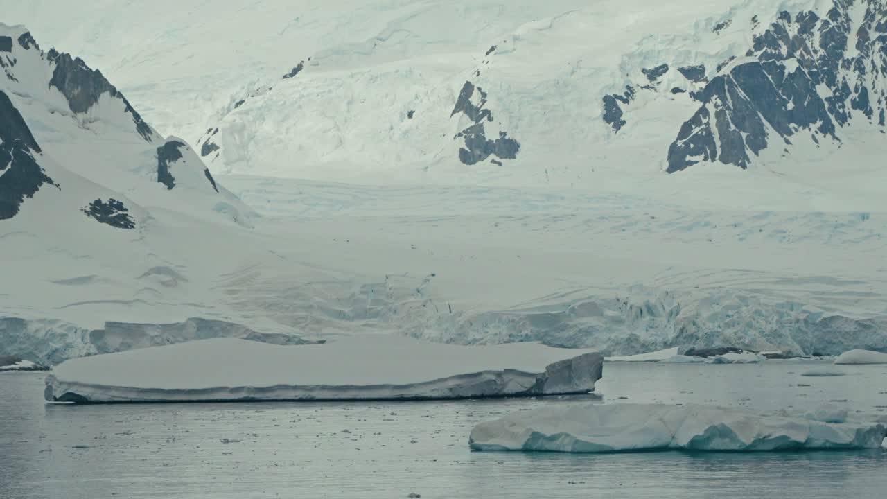 Un imponente ghiacciaio incontra la costa antartica con iceberg galleggianti che vanno alla deriva su un mare calmo e freddo sotto un cielo coperto, mostrando un ambiente polare remoto e incontaminato.
