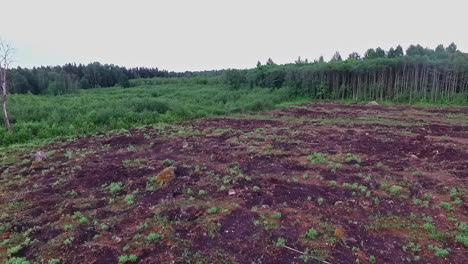 Aerial-shot-of-aftermath-of-deforestation-on-a-grey-day