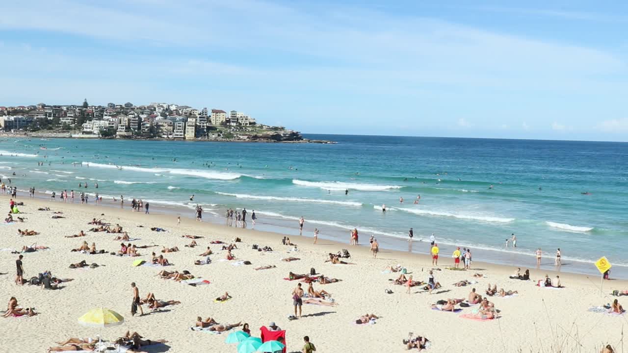 Crowded tropical beach with tourists relaxing and sunbathing and surfers riding the rolling waves