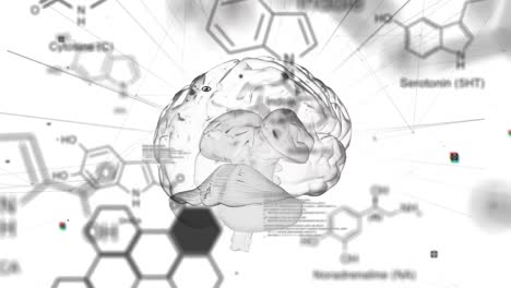 animation of digital brain and data processing on white background