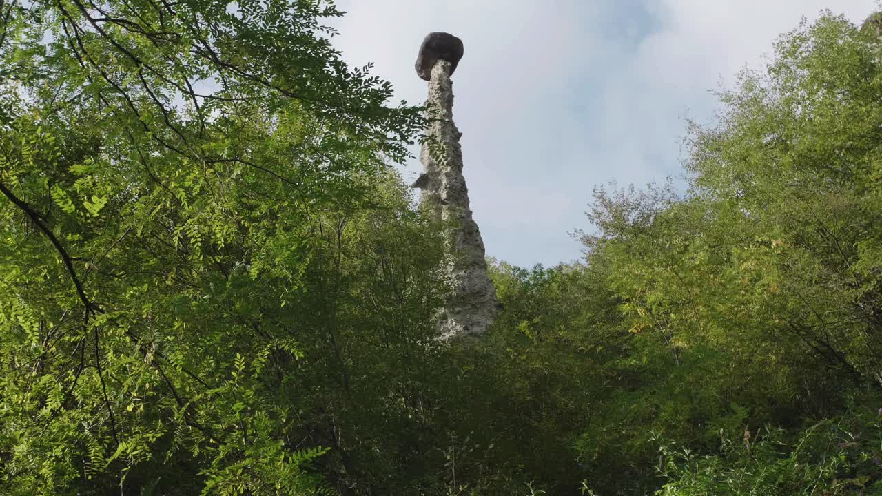 지대의 피라미드의 초록색 가지를 통해 가까이 올라갑니다.