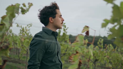 farmer walking looking vineyard growing autumn day close up. winegrowing concept