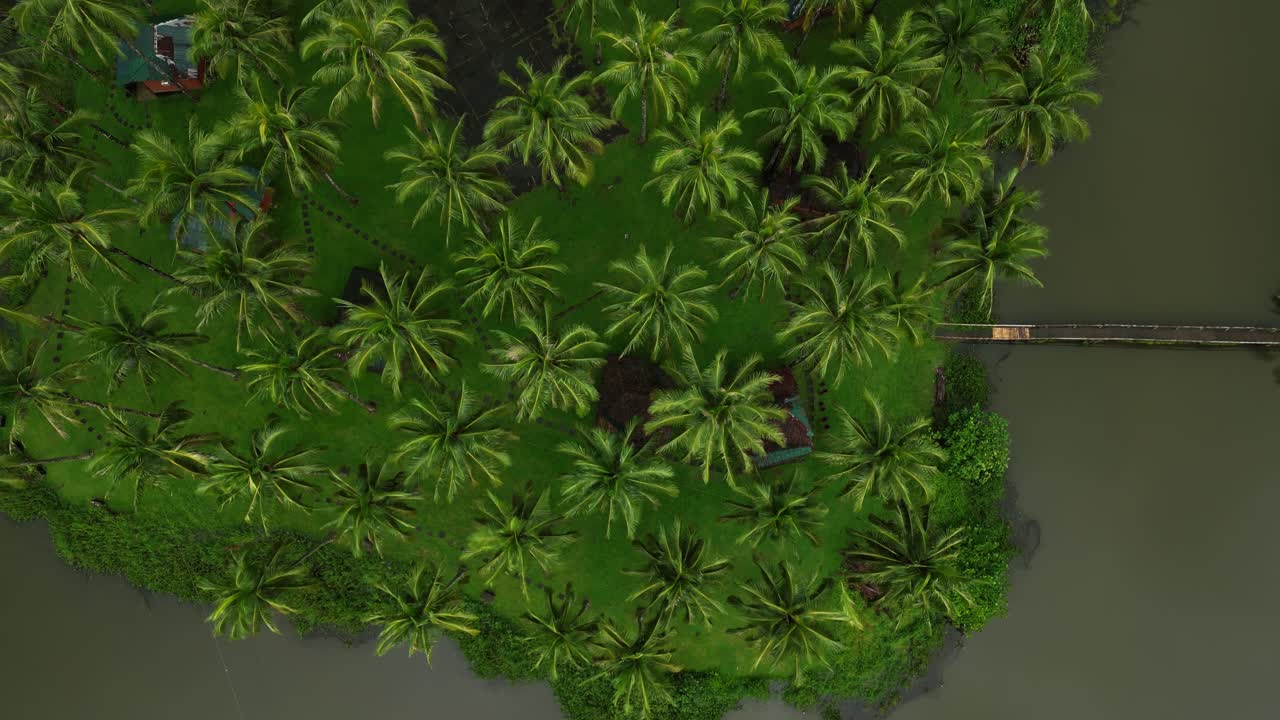 Starting from thick trees and plants, the camera slowly backs out to reveal even more greenery and a glimpse of the nearby lake in Laguna’s scenic outdoors