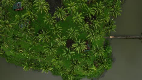 starting from thick trees and plants, the camera slowly backs out to reveal even more greenery and a glimpse of the nearby lake in laguna’s scenic outdoors