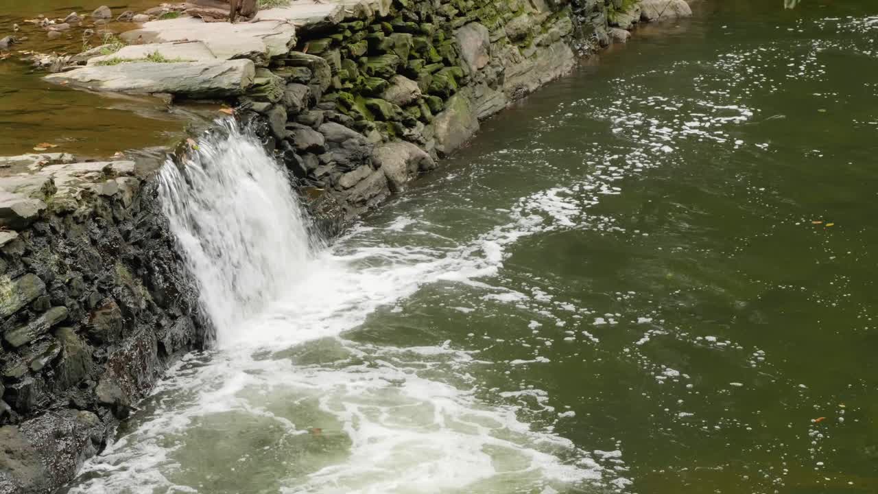 cascada cerca del puente cubierto, molino de thomas en el arroyo wissahickon