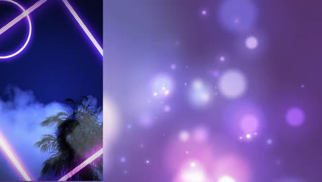 Animation-of-purple-neon-frame-over-palm-trees-with-glowing-spots