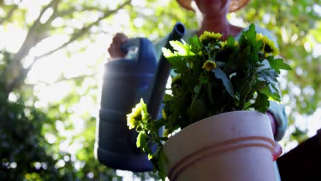 senior woman watering plants