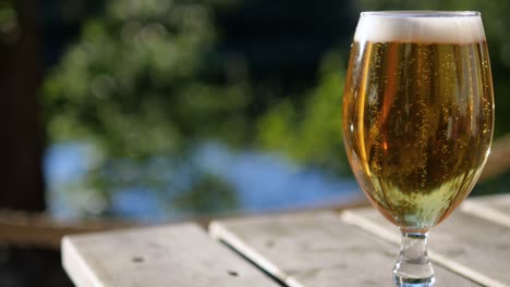 close-up of tiny bubbles from a newly poured lager beer moving rapidly in a glass