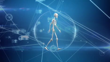 digital composite of a human skeleton in a network bubble