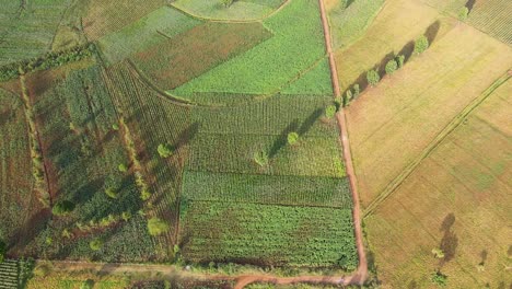 Bauernhof-Ackerland-Landschaft-Ländlich