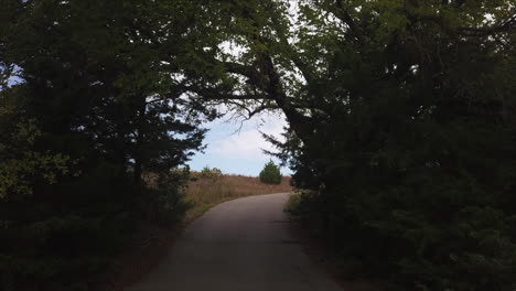 view around the trees on the road