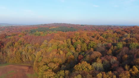 Movimiento-Hacia-Arriba-Movimiento-Dron-Aéreo-Kent-Reino-Unido-Inglaterra-Hemisferio-Norte-Bosques-Otoño-Noviembre-Octubre