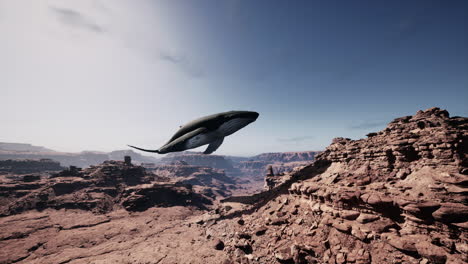 whale flying over a desert canyon