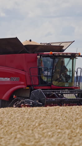 combine harvester on wheat field. working harvesting combine in the field of wheat. vertical video