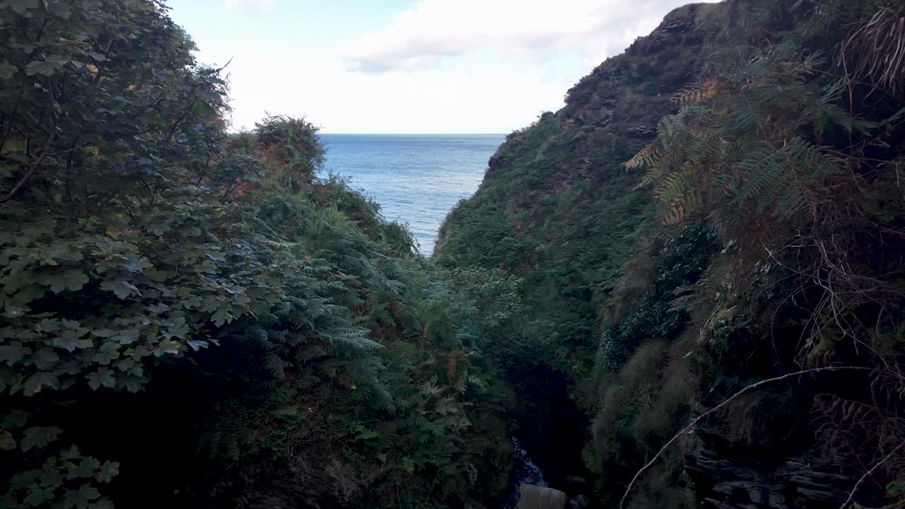 Lush forest path frames a distant sea horizon along the Isle of Man coast, offering a tranquil nature scene