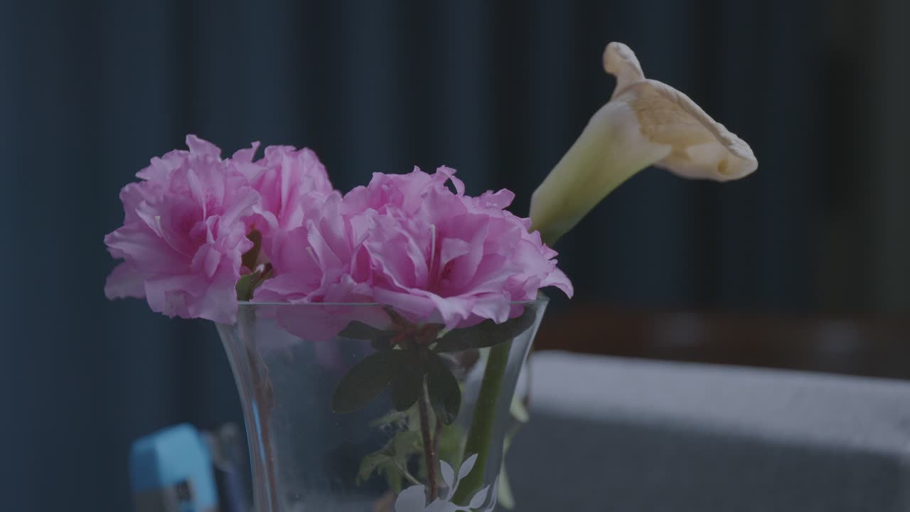 A simple bouquet of pink flowers and a single yellow calla lily sits in a glass. This delicate, ungraded LOG footage is perfect for color grading into a beautiful and romantic still life
